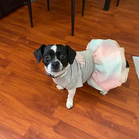 住宿加早餐酒店 Compact In Beautiful 4bedroom Penthouse 3*