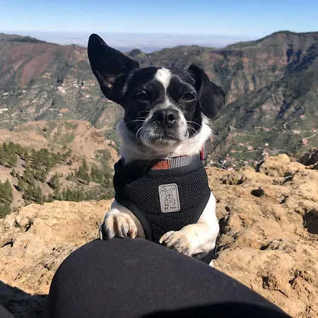 Compact In Beautiful 4bedroom Penthouse 住宿加早餐酒店 圣地亚哥港