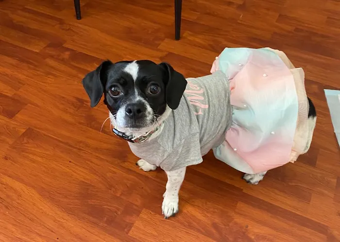 Bed & Breakfast Compact In Beautiful 4bedroom Penthouse 3*