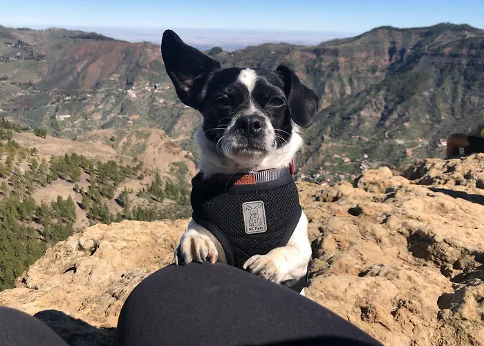 Compact In Beautiful 4bedroom Penthouse Bed & Breakfast Puerto de Santiago (Tenerife)